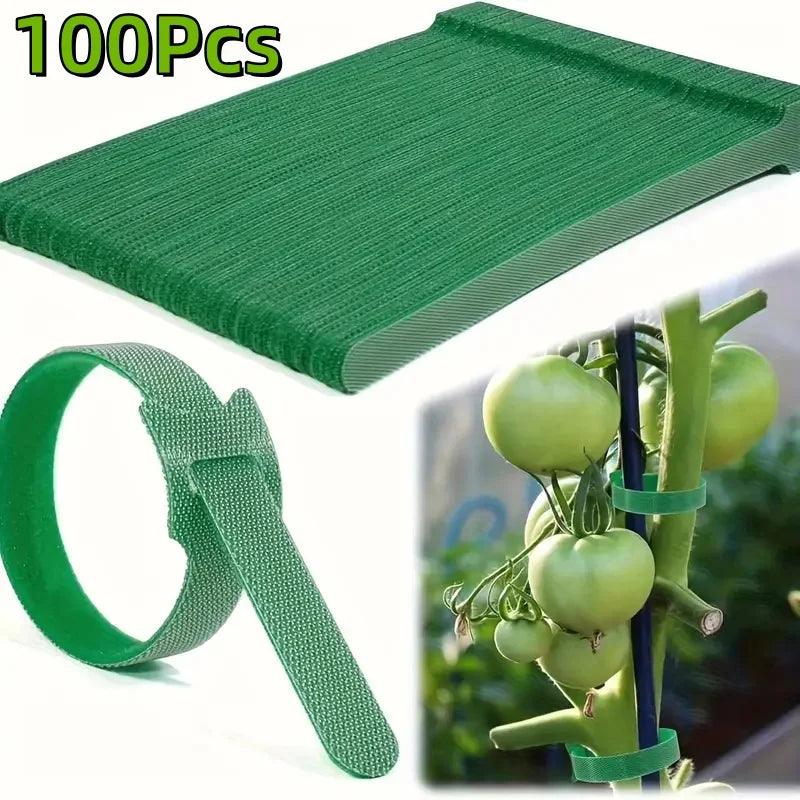 Reusable Nylon Plant Ties – Adjustable Non-Slip Supports for Climbing Plants & Gardening (50/100 Pack)