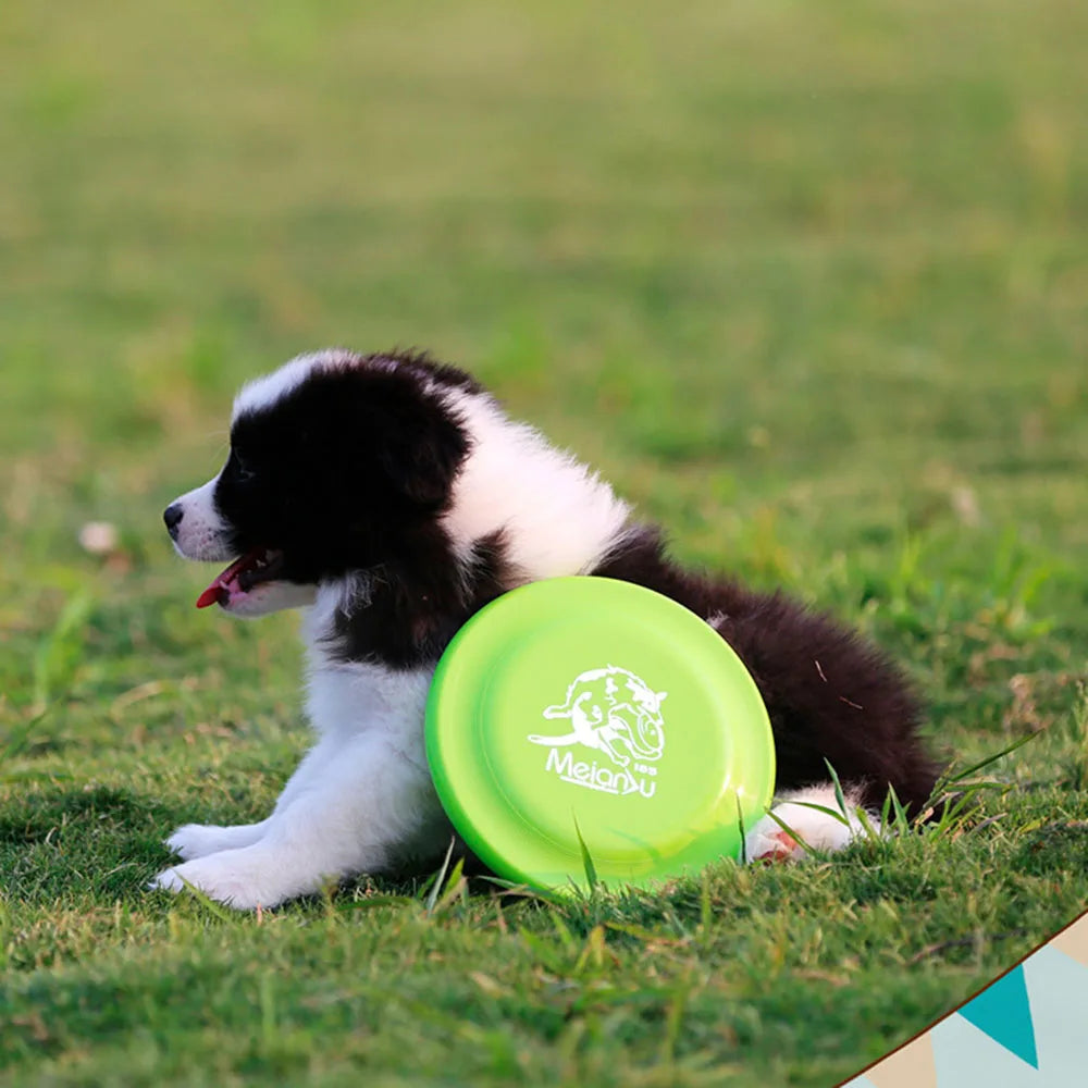 Dog Training Disc - Lightweight Easy-Catch Frisbee – photo 2