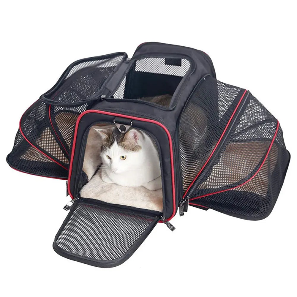 Foldable Pet Carrier Bag - Safety Zip Travel Carrier – photo 7