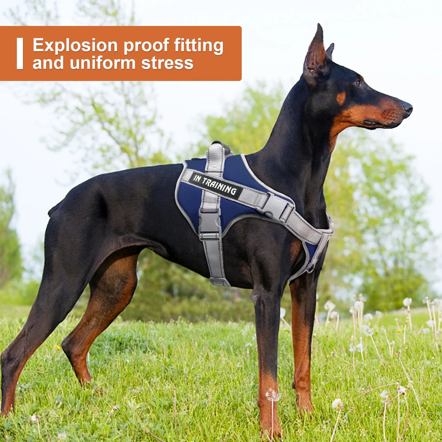 Service Dog Chest Harness No Pull Dog Hook Suitable Large Dog Vest Style Walking Rope Control Dog Strap Accessories Prevent Loss