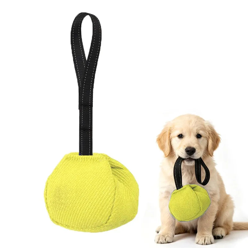 Outdoor Tug-of-War Dog Toy - Bite-Resistant Pull Toy