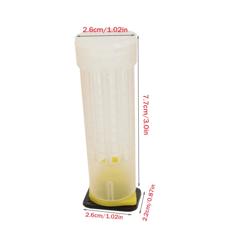 100PCS Wholesale Beekeeping Queen Bee Rearing System Protection Cages Plastic Tools Supplies Larva Anti Bite Equipemnt Farm