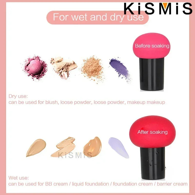 Flawless Makeup Sponge Set Multicolored Beauty Blending Sponges for Liquid Cream and Powder Perfect Makeup Tool