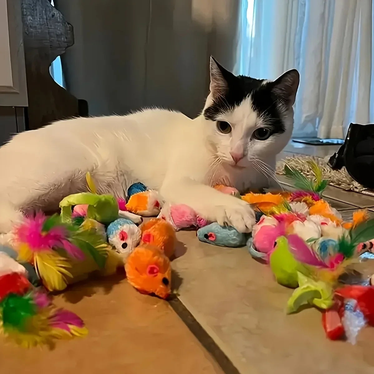 Cat Toy Mixed Pack - 56, 28 or 14 Piece Plush & Plastic Bundle – photo 3