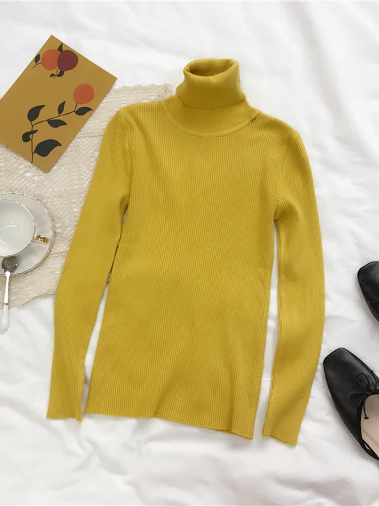Women's Ribbed Turtleneck Sweater — Thick Knit Jumper