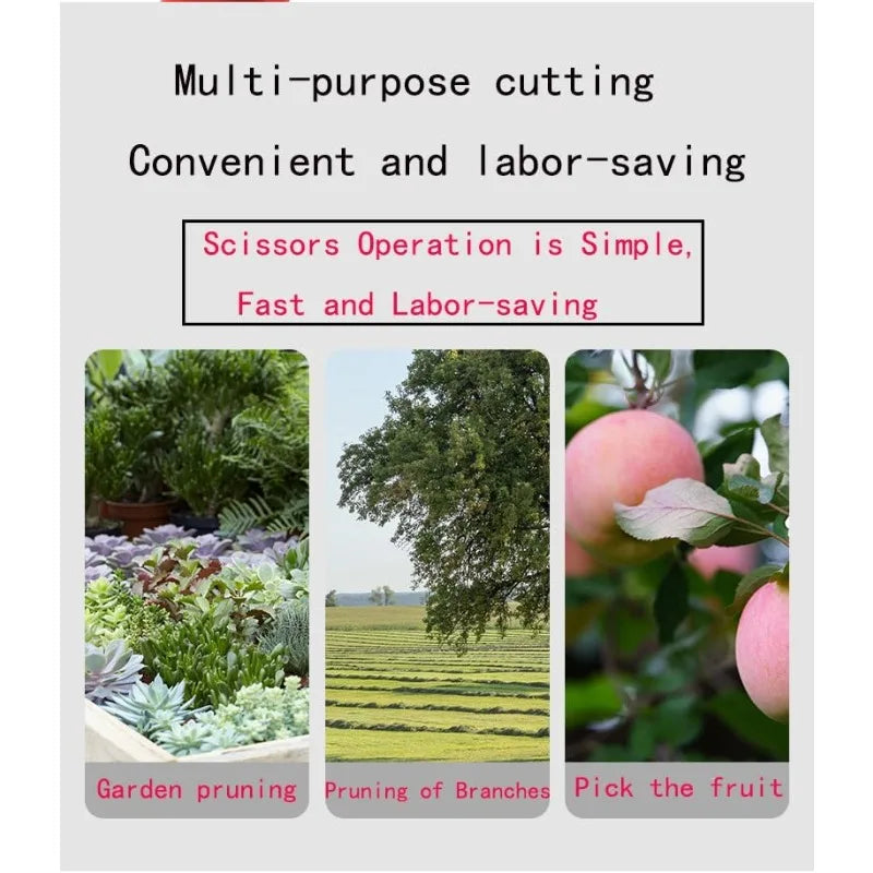Straight-Head Pruning Shears — Stainless Steel Bonsai Garden Scissors