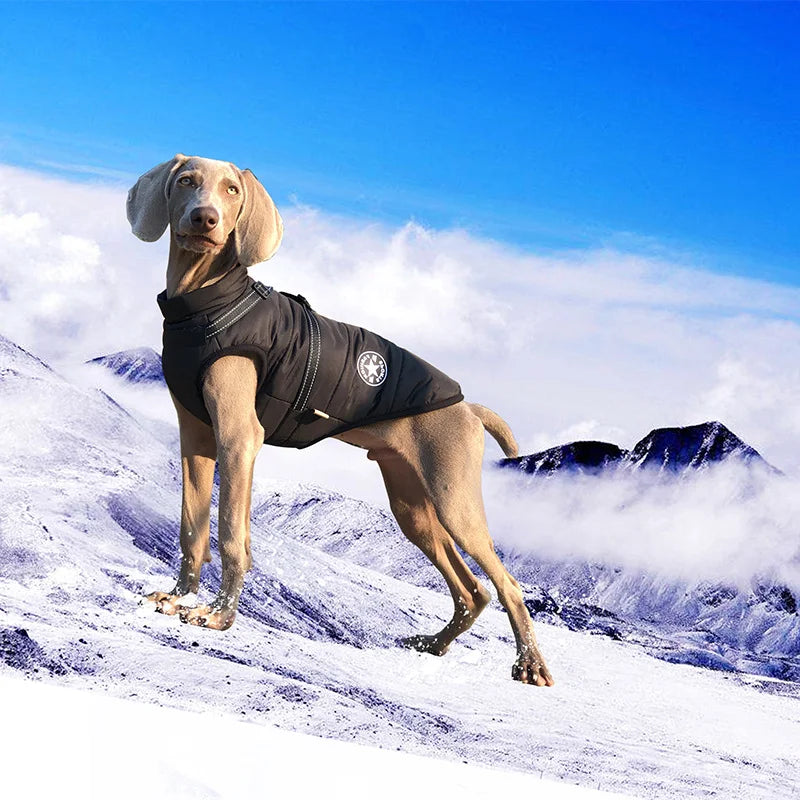 Dog Jacket Vest with Built-In Harness - Warm Winter Coat for Small Dogs - photo 3