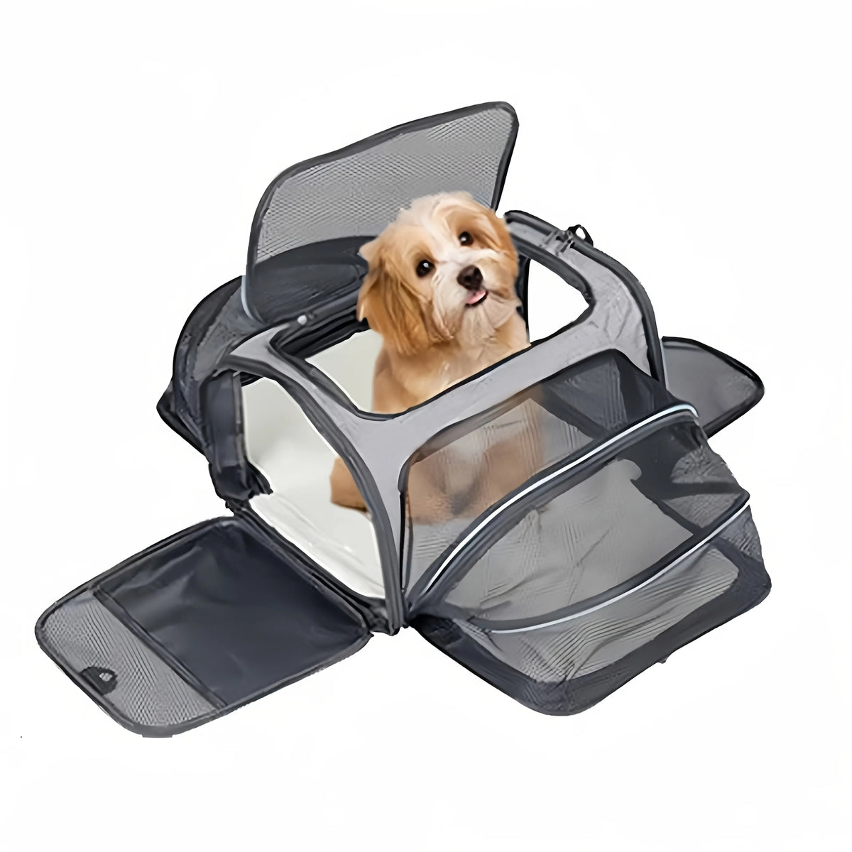 Expandable Pet Carrier Bag - Foldable Mesh Travel Carrier – photo 2
