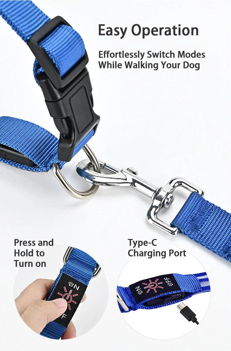 LED Light Up Dog Collar – Rechargeable Glowing Safety Collar for Night Walks | Color LED Pet Necklace with Harness & Leash Ring