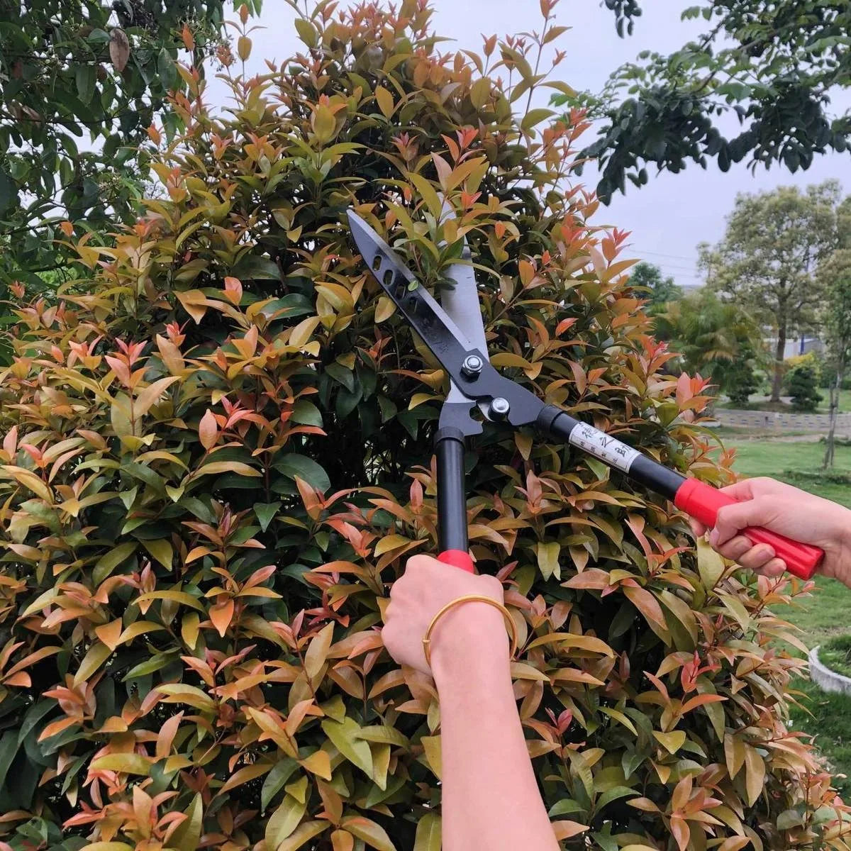 Professional Garden Hedge Lopper — Long-Reach Bypass Pruner