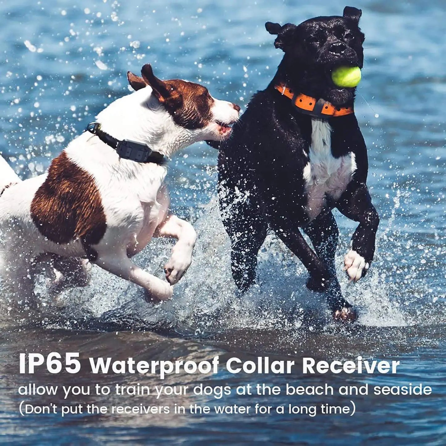 Electric Waterproof Dog Training Collar – Rechargeable Remote Anti-Bark Device | For 1, 2 or 3 Dogs