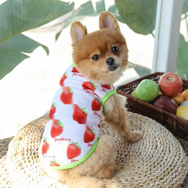 Cute Cartoon Print Cotton Vest for Dogs & Cats