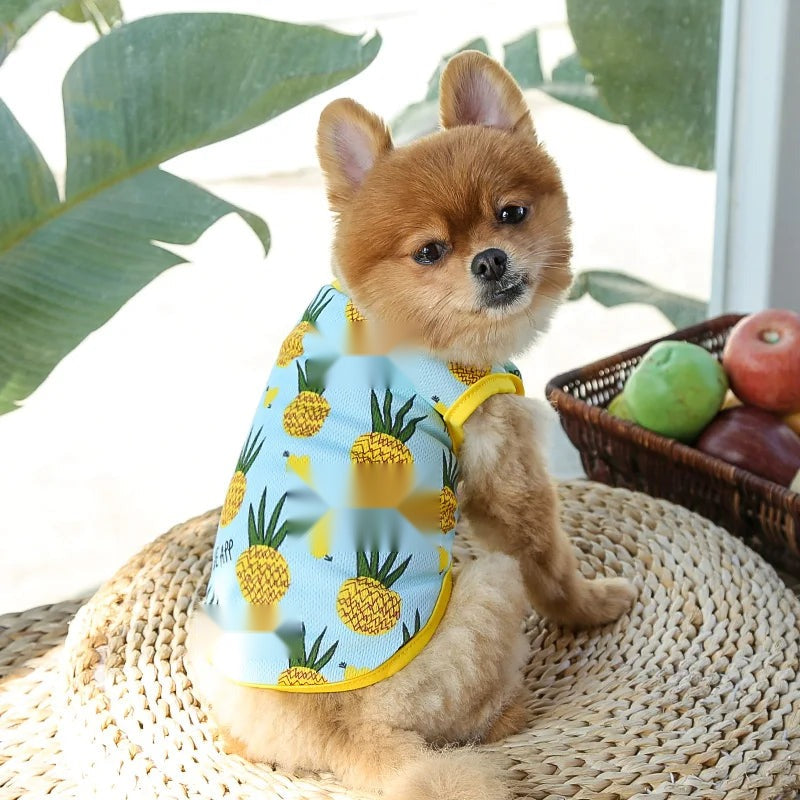 Cute Cartoon Print Cotton Vest for Dogs & Cats
